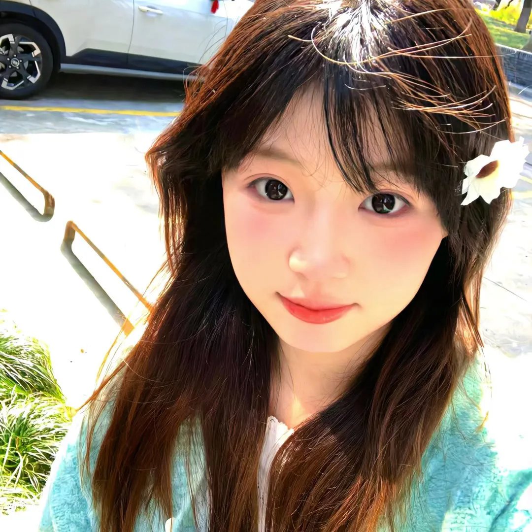 夏日菊花茶